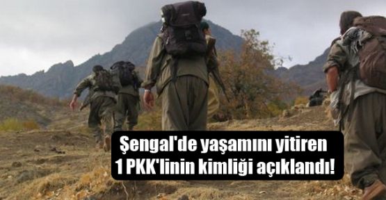 Şengal'de yaşamını yitiren 1 PKK'linin kimliği açıklandı!