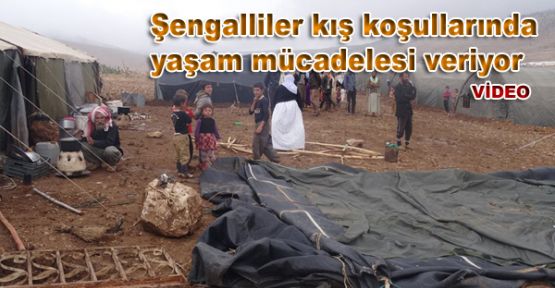 Şengalliler kış koşullarında yaşam mücadelesi veriyor