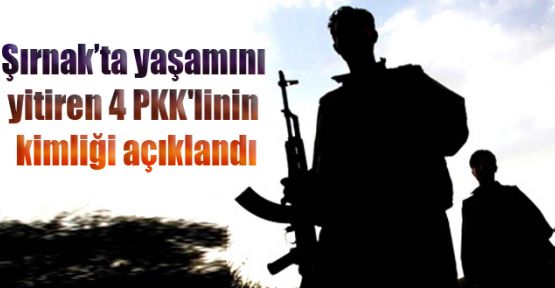 Şırnak'ta yaşamını yitiren 4 PKK'linin kimliği açıklandı