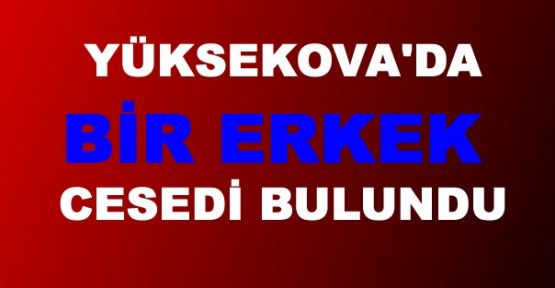 Yüksekova'da bir erkek cesedi bulundu