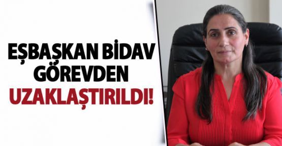 Van İpekyolu Belediye Eş Başkanı görevinden uzaklaştırıldı