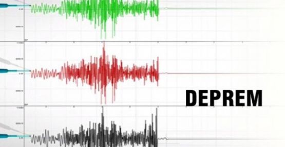 Van'da 4,5 büyüklüğünde deprem