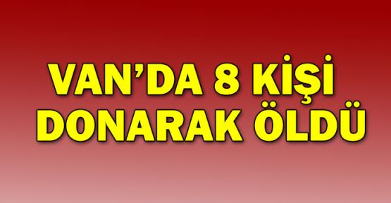 Van'da 8 kişi donarak öldü