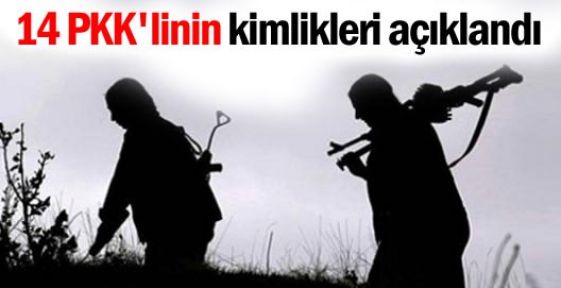 Yaşamını yitiren 14 PKK'linin kimliği açıklandı