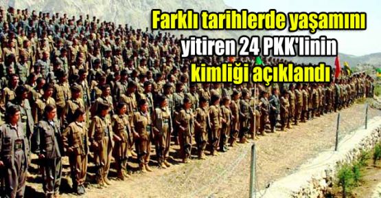 Yaşamını yitiren 24 PKK'linin kimliği açıklandı