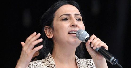 Yüksekdağ: Almanya çözüm süreci için destek sunmalı