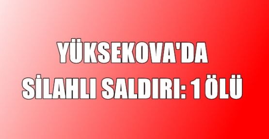 Yüksekova'da silahlı saldırı: 1 ölü