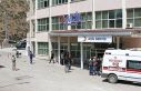 Şemdinli'de ayı saldırısında bir kişi yaralandı