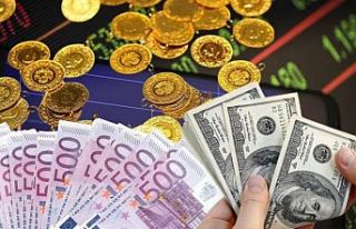 Dolar ve euro güne yükselişle başladı