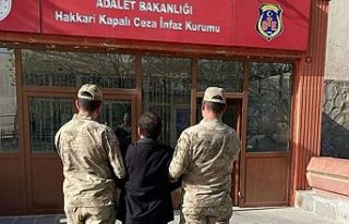 Hakkari'de 39 kişi tutuklandı