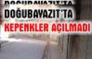 Bulanık ve Doğubayazıt'ta kepenkler açılmadı