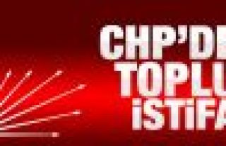 CHP'de toplu istifa