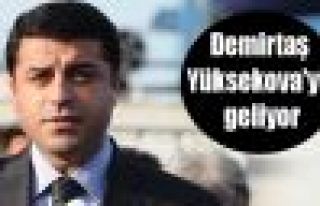 Selahattin Demirtaş Yüksekova ilçesini ziyaret...