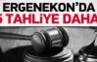 Ergenekon'da tahliyeler devam ediyor