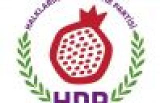 HDP MYK üyeleri belirlendi