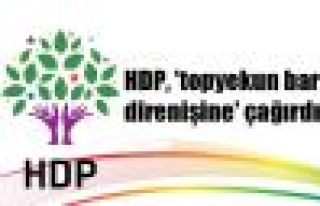 HDP, 'topyekun barış direnişine' çağırdı