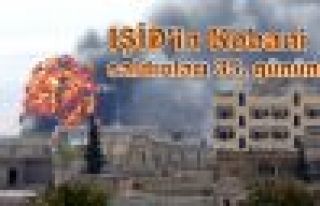 IŞİD'in Kobani saldırıları 35. gününde