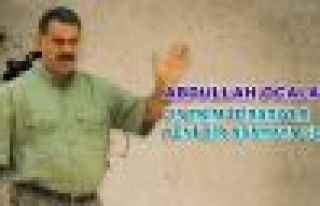 Öcalan: Cesur siyasi hamleler lazım