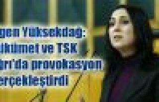 Yüksekdağ: Hükümet ve TSK Ağrı'da provokasyon...